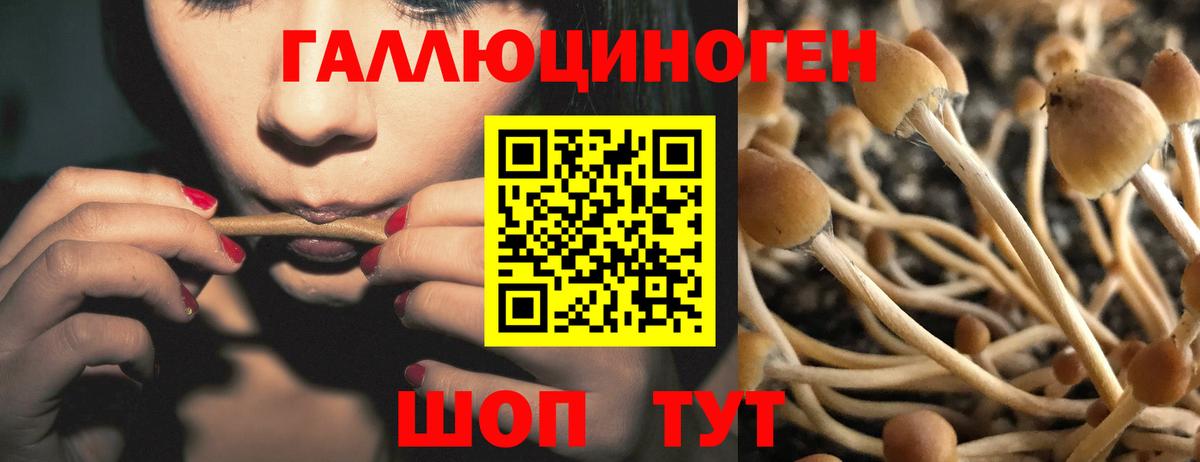 закладки  Псилоцибиновые грибы Psilocybe  Вход с VPN  Псилоцибиновые грибы MAGIC MUSHROOMS  Магнитогорск 
